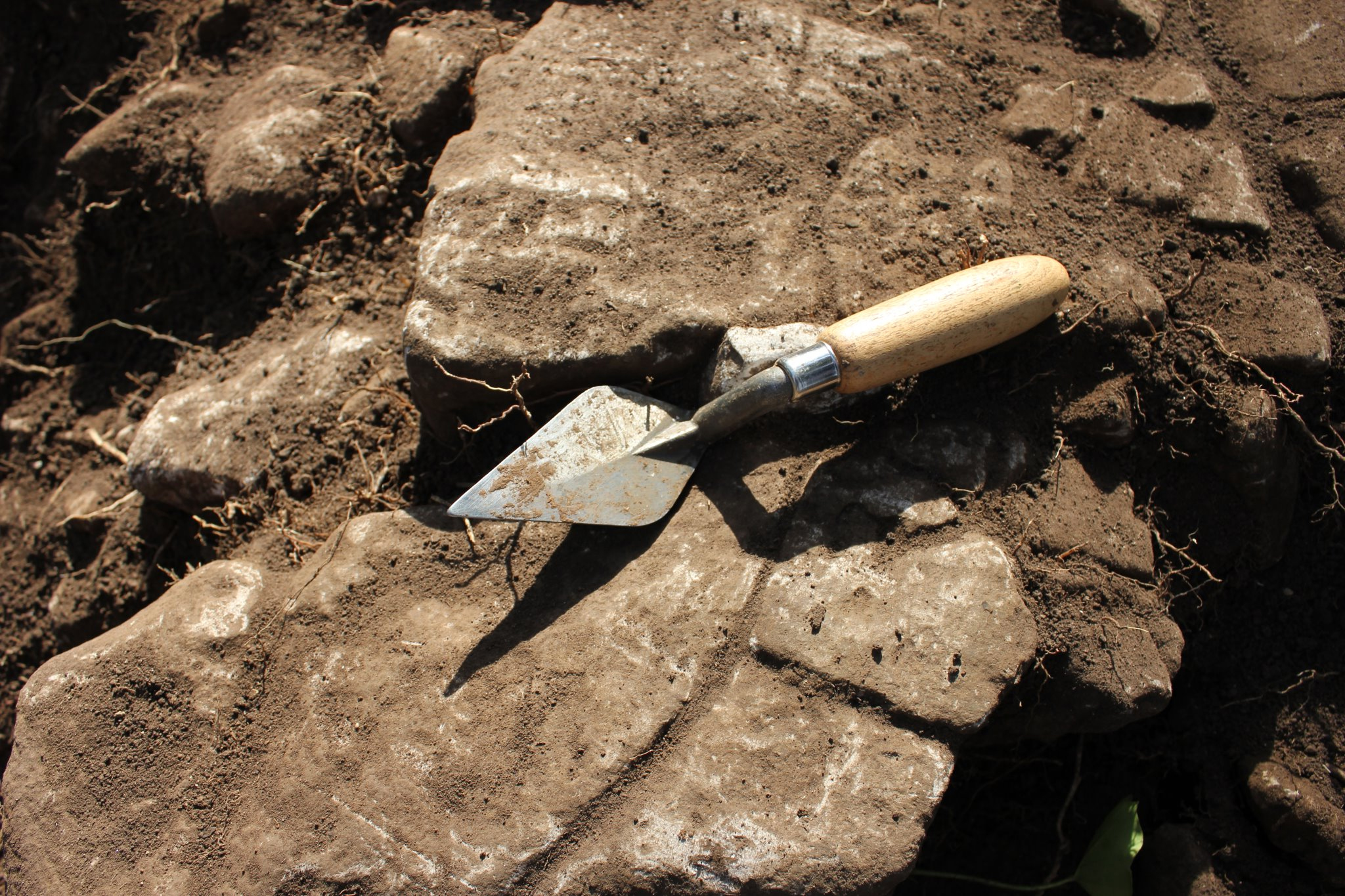 Archaeology