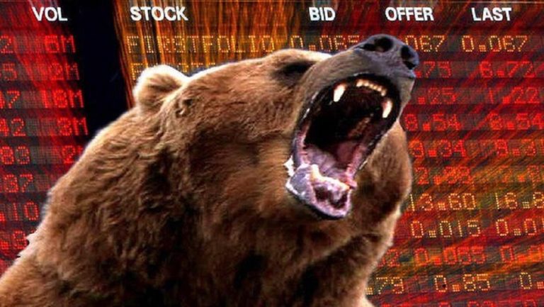 bear