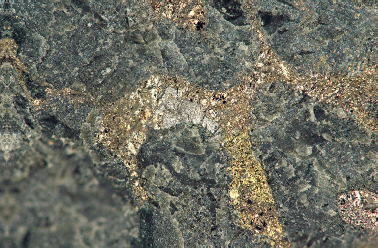 Barrick Gold