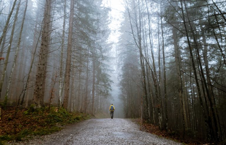 alone-autumn-mood-forest-cold-397096