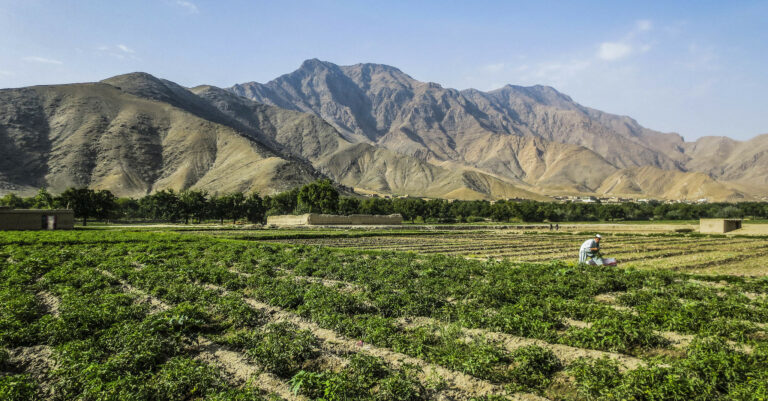 Afghanistan